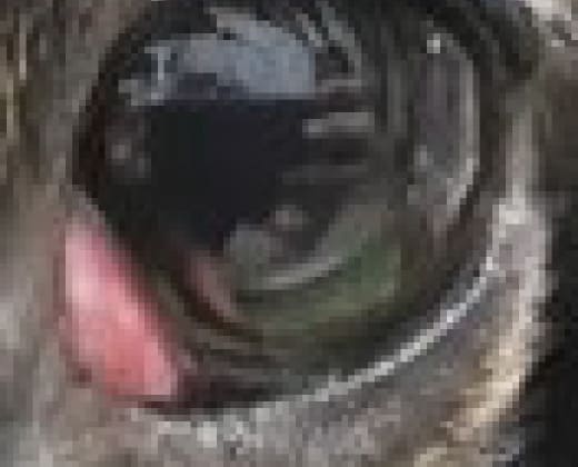 *