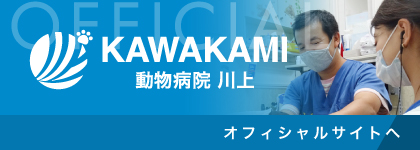 動物病院川上　オフィシャルサイト