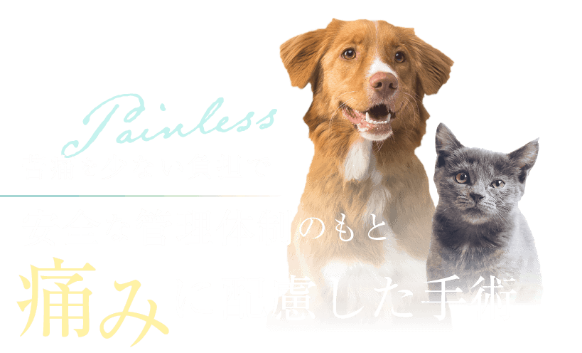 苦痛を少ない負担で　安全な管理体制のもと、痛みに配慮した手術